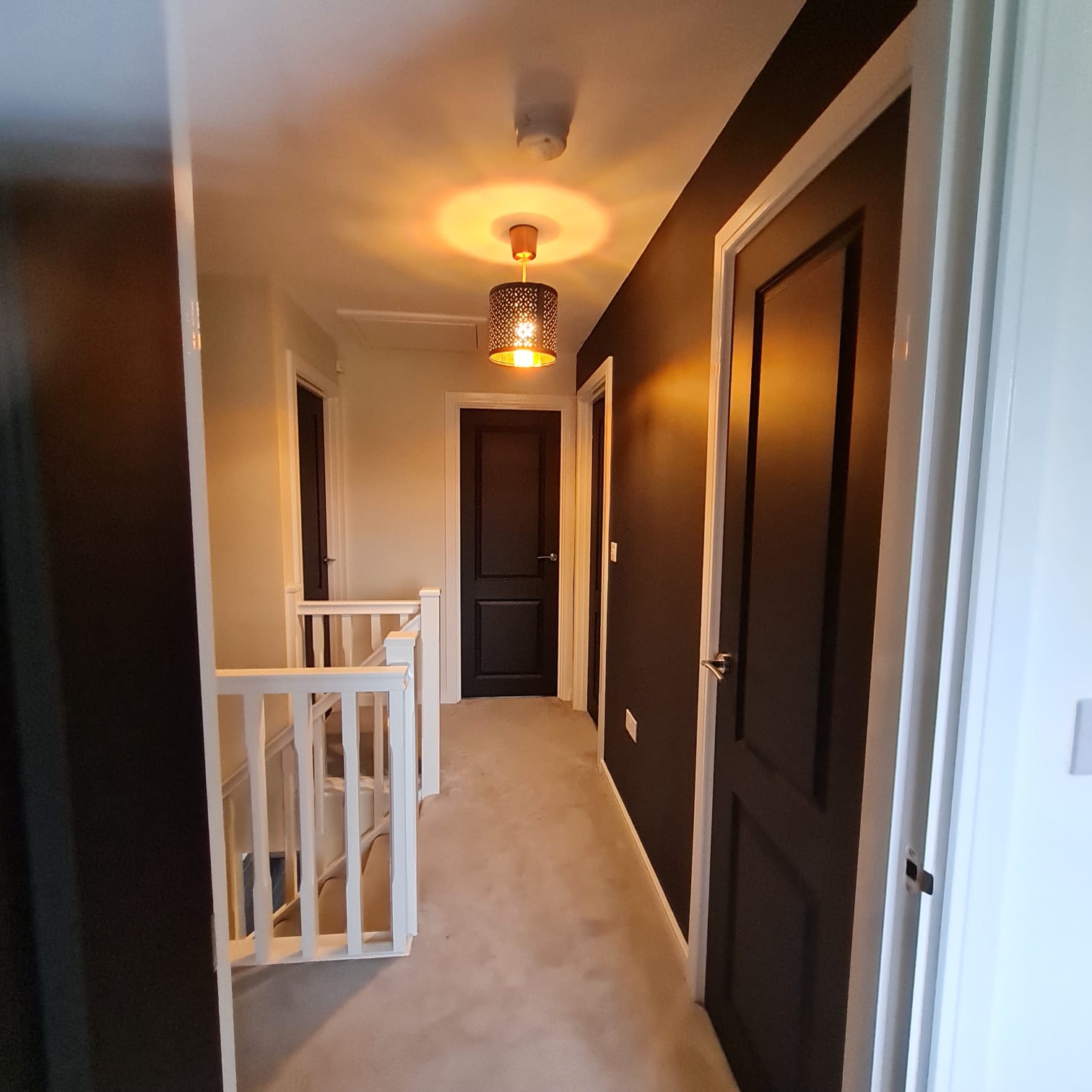 Painted Landing Dark 2