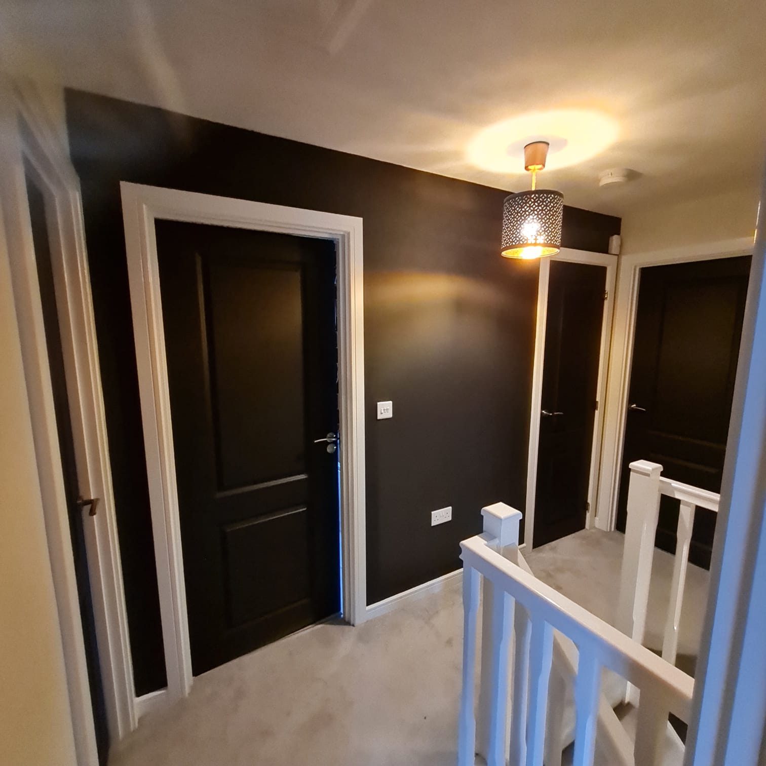 Painted Landing Dark